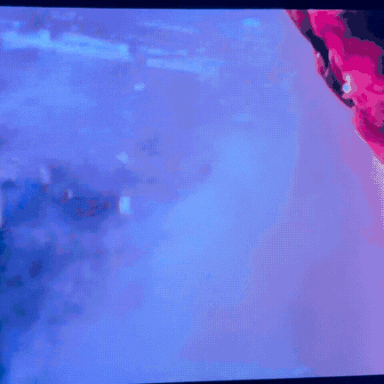 Animation of the evasive manoeuvre