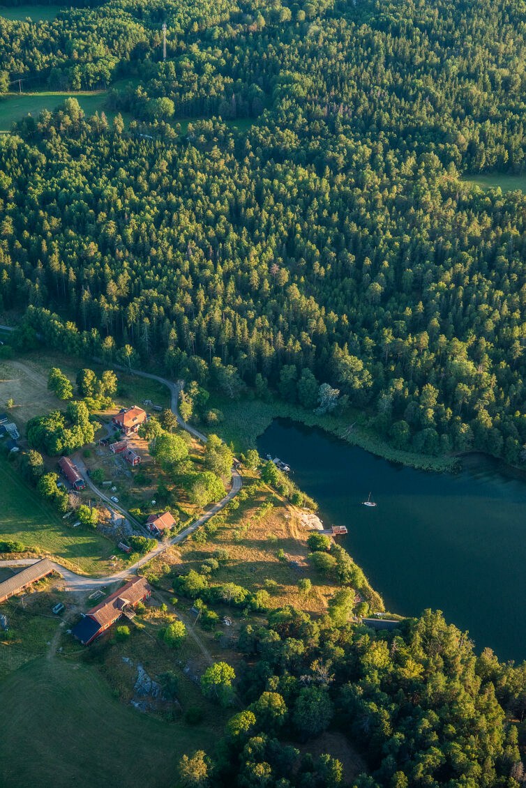 Archipelago landscape with forest and water