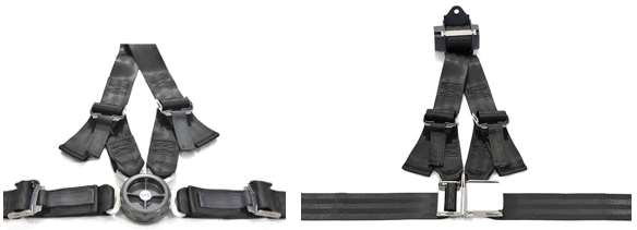 4-point harness and rear-seat variant
